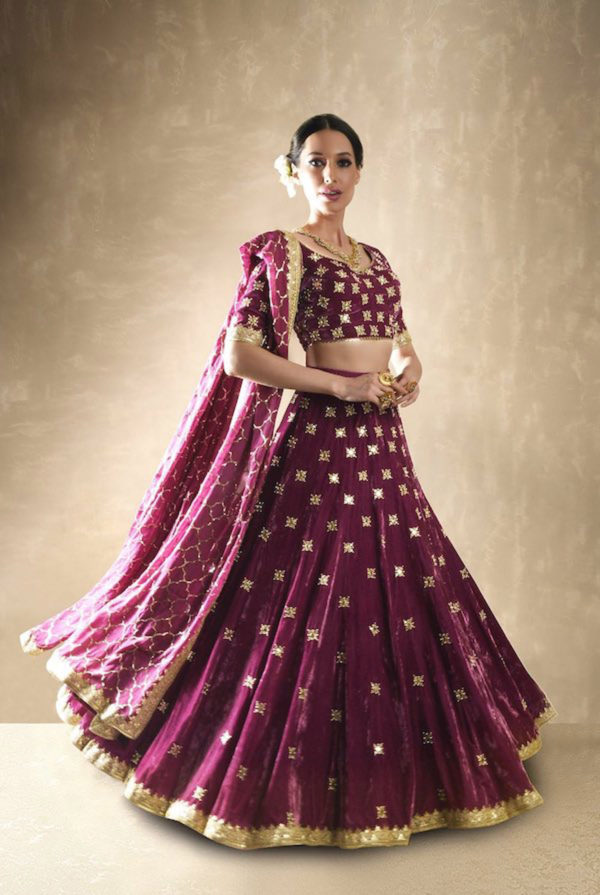 Petunia Velvet Pomegranate Lehenga Black Thread Co