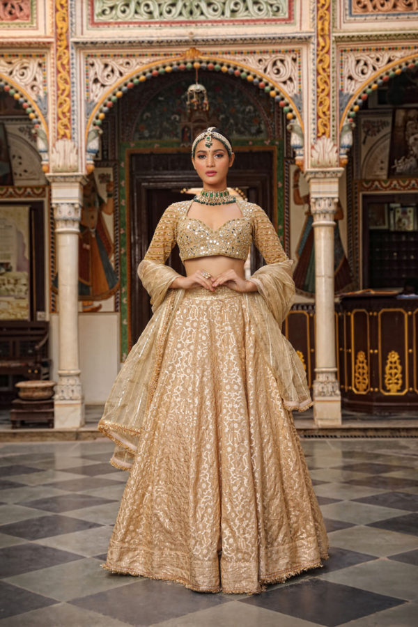 Banarasi Chanderi Lehenga Black Thread Co 3