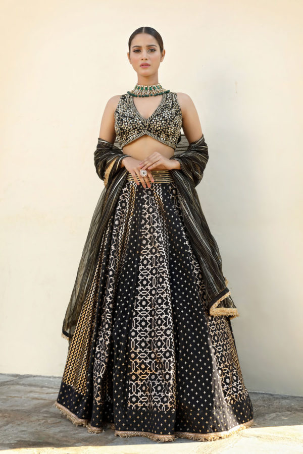 Banarasi Chanderi Lehenga Black Thread Co Banarasi Chanderi Lehenga Black Thread Co