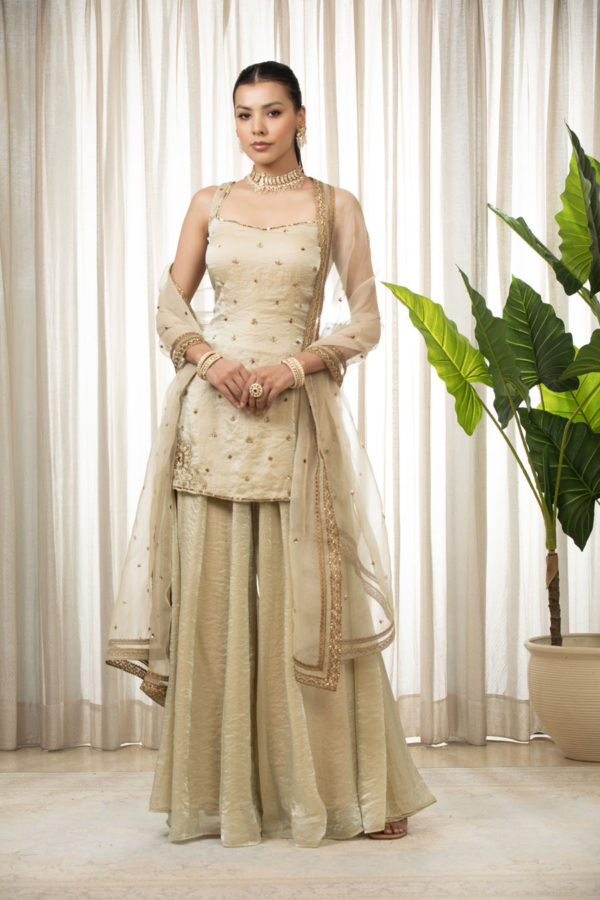 Jasmine Creamish Sharara Set Black Thread Co Jasmine Creamish Sharara Set Black Thread Co