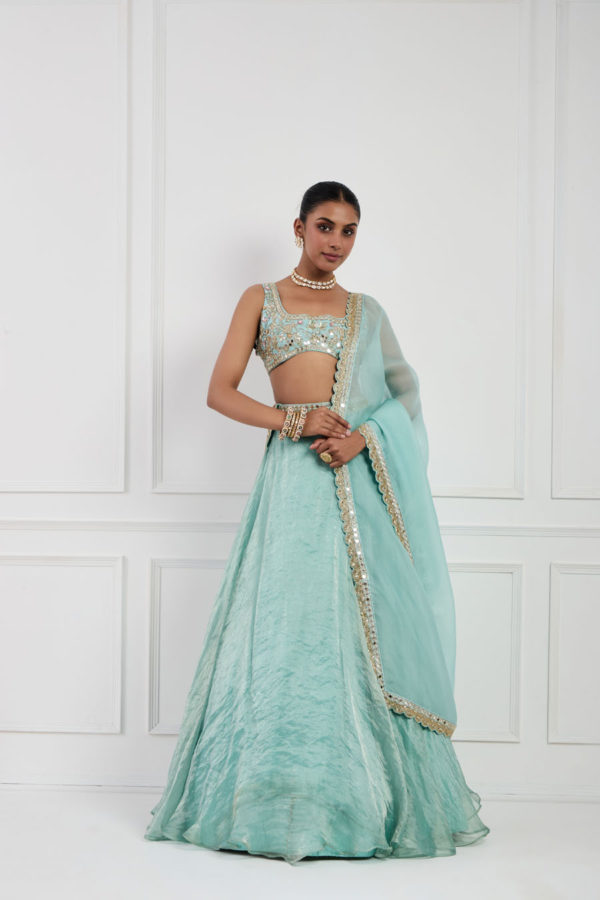 Sky Blue Tissue Silk Lehenga Black Thread Co