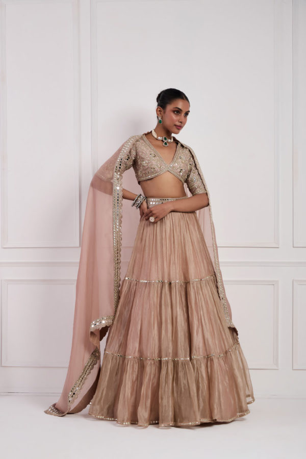 Blush Pink Tissue Lehenga Set Black Thread Co