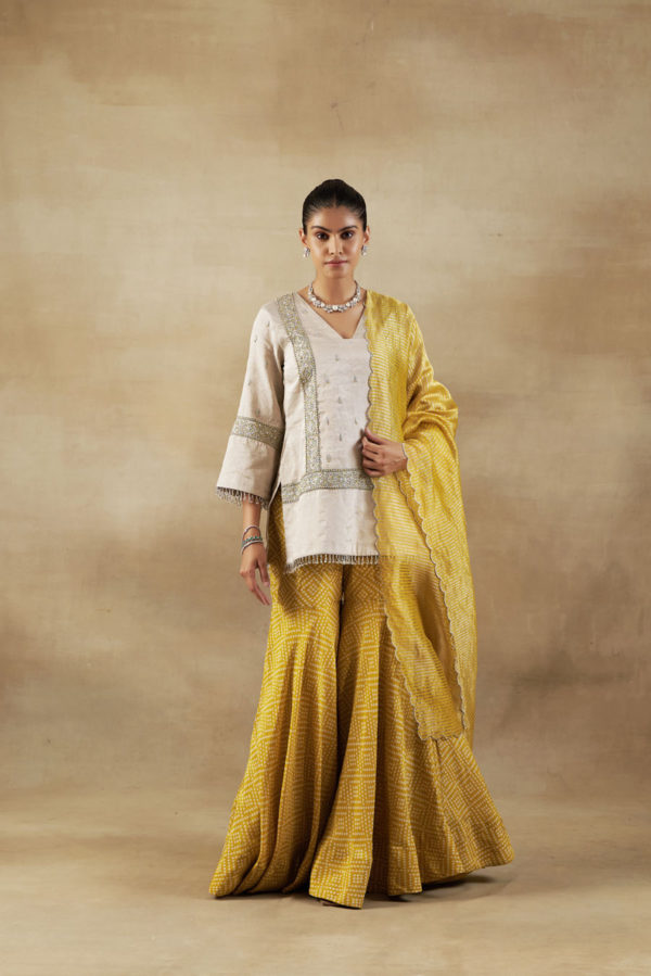 Short Shirt in Tissue with Bandhani Tissue Garara and Striped Chanderi Banarasi Dupatta Black Thread Co Short Shirt in Tissue with Bandhani Tissue Garara and Striped Chanderi Banarasi Dupatta Black Thread Co